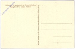 ak179869a Rumpler: Der kleine Patient