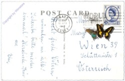 Her Royal Highness The Princess Margaret and Mr. Anthony Armstrong-Jones