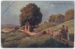 Im Wald und auf der Heide