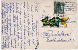 ak180258a Pärchen