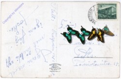 ak180263a Verliebt
