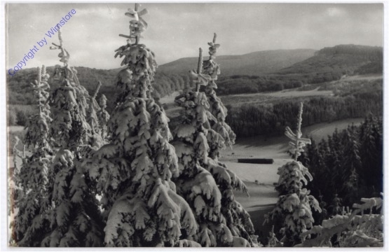 Levelezölap, Ansicht