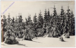 ak180721 Weihnachsgrüße aus Ungarn