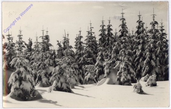 Weihnachsgrüße aus Ungarn