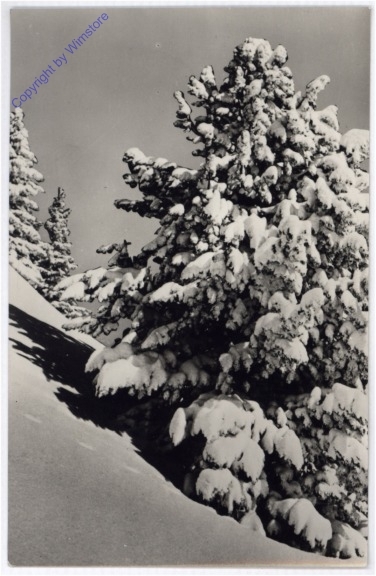 Weihnachsgrüße aus Ungarn