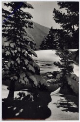 ak180726 Weihnachsgrüße aus Ungarn