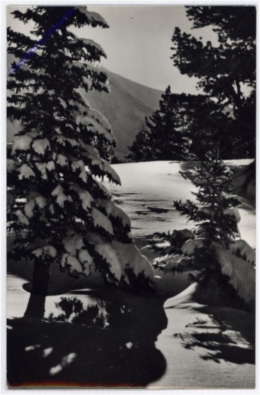 Weihnachsgrüße aus Ungarn