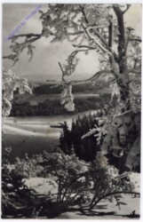 Weihnachsgrüße aus Ungarn