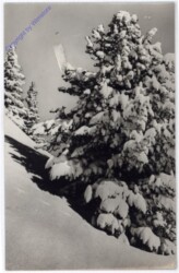 ak180728 Weihnachsgrüße aus Ungarn