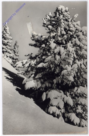 Weihnachsgrüße aus Ungarn