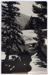 Weihnachsgrüße aus Ungarn