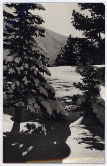 Weihnachsgrüße aus Ungarn