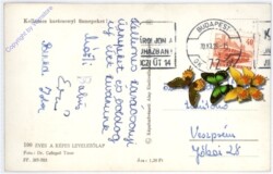 Weihnachsgrüße aus Ungarn