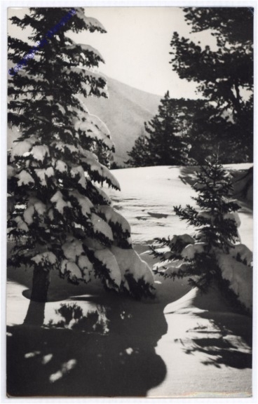 Weihnachsgrüße aus Ungarn