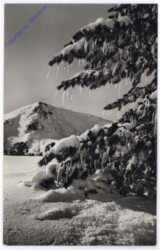 Weihnachsgrüße aus Ungarn