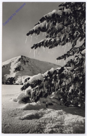 Weihnachsgrüße aus Ungarn