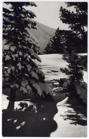 Weihnachsgrüße aus Ungarn