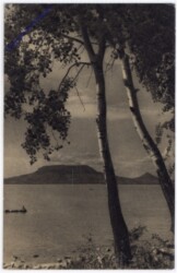 Balatonrol, Ansicht