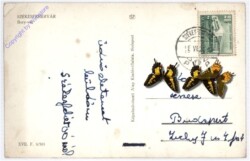 Szekesfehervar, Ansicht