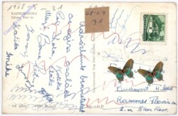 Kazincbarcika, Ansicht