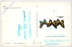 ak180827a Pecs, Snsicht