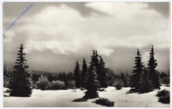 Weihnachtsgrüße aus Ungarn