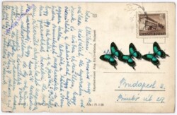 Vaci reszletek, Ansicht