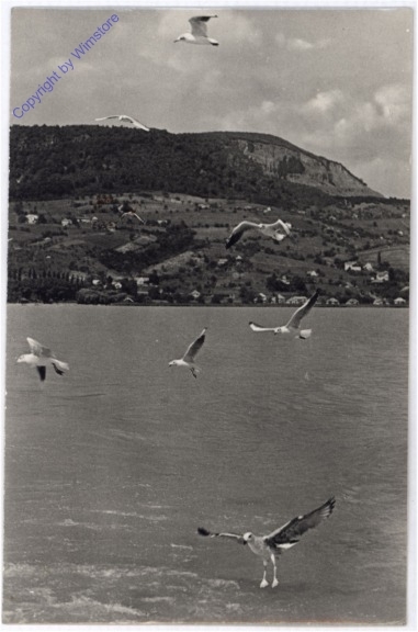 Balatonrol, Ansicht