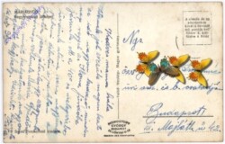 Mariagyüd, Ansicht