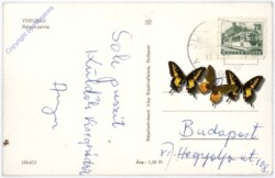 ak180913a Visegrad, Ansicht