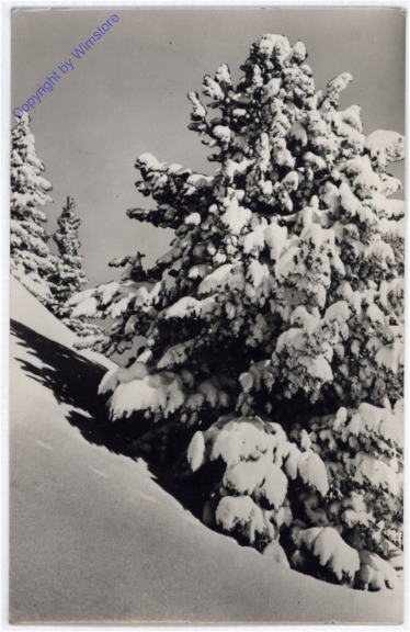 Weihnachtsgrüße aus Ungarn