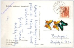 Weihnachtsgrüße aus Ungarn