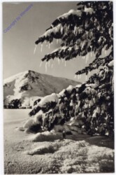 Weihnachtsgrüße aus Ungarn