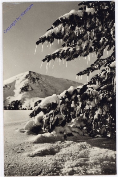 Weihnachtsgrüße aus Ungarn