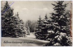 Weihnachtsgrüße aus Ungarn