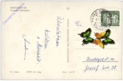 Paradsasvar, Ansicht