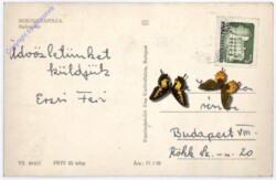 Miskolc-Tapolca, Ansicht