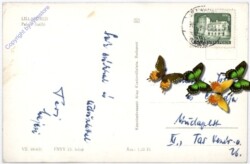 Lillafüred, Ansicht