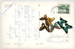 Lillafüred, Ansicht