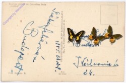 ak181041a Diotörö, Ansicht