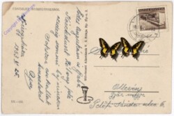 Nyiregyhazarol, Ansicht