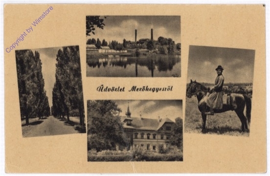 Mezöhegyesröl, Ansicht