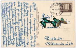 Veszpremböl, Ansicht