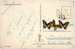 ak181097a Balatonon, Ansicht