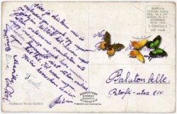 Bacs-Topolya, Ansicht