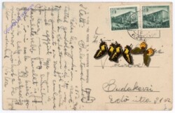 BAlatonalmadibol, Ansicht