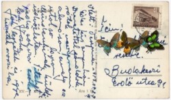 Veszpremböl, Ansicht