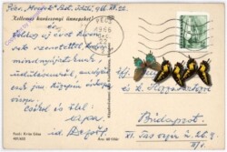 Weihnachtsgrüße aus Ungarn