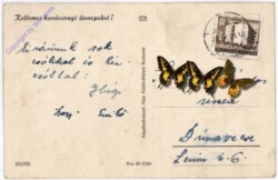 Weihnachtsgrüße aus Ungarn