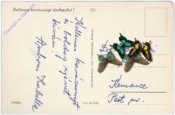 Weihnachtsgrüße aus Ungarn